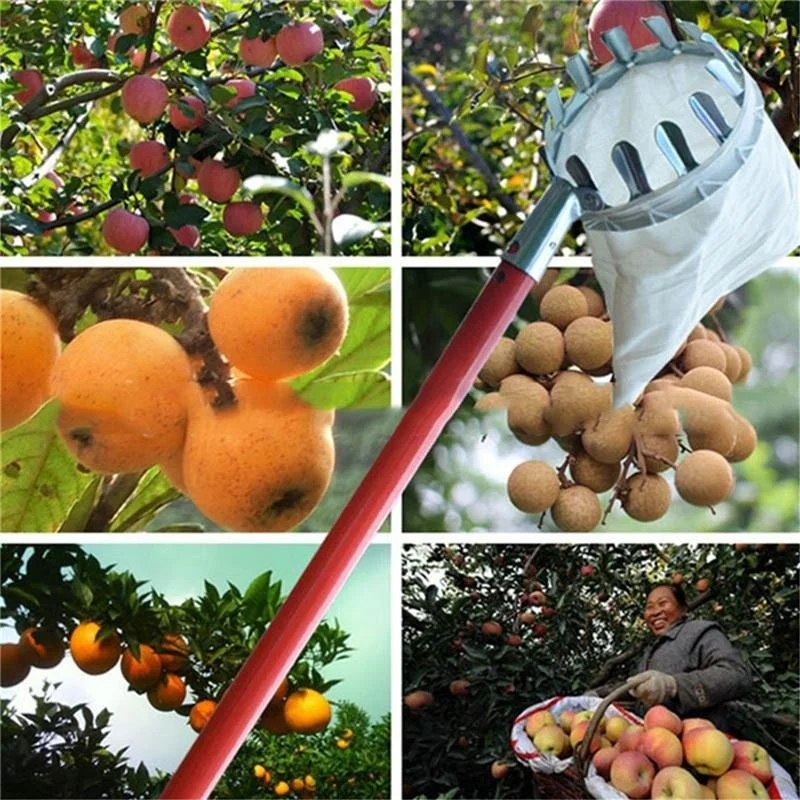 Grow Bags - Alat Pemetik Buah Kebun, Kebun Buah