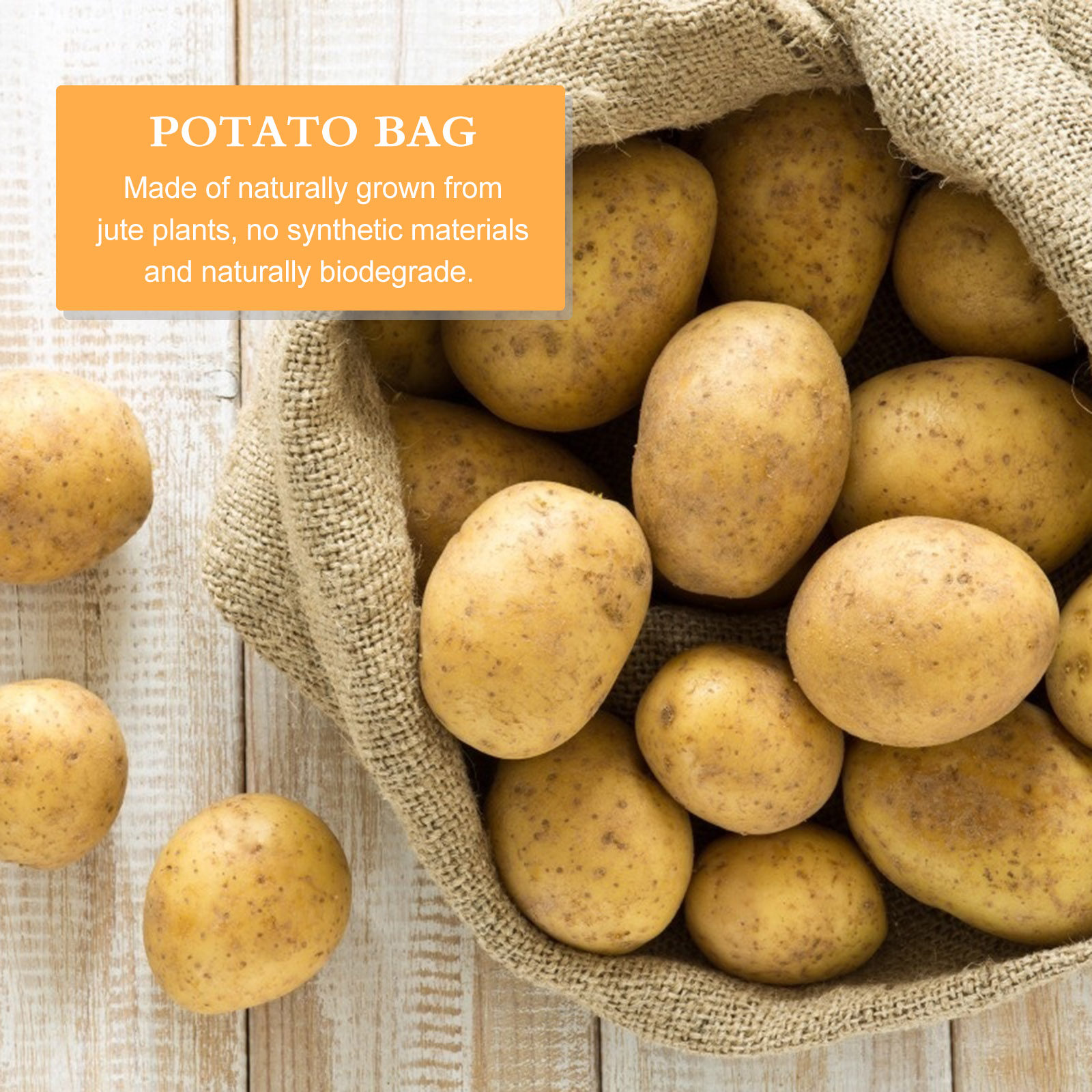 Grow Bags - 1 Buah Kantong Pasir Goni Anti