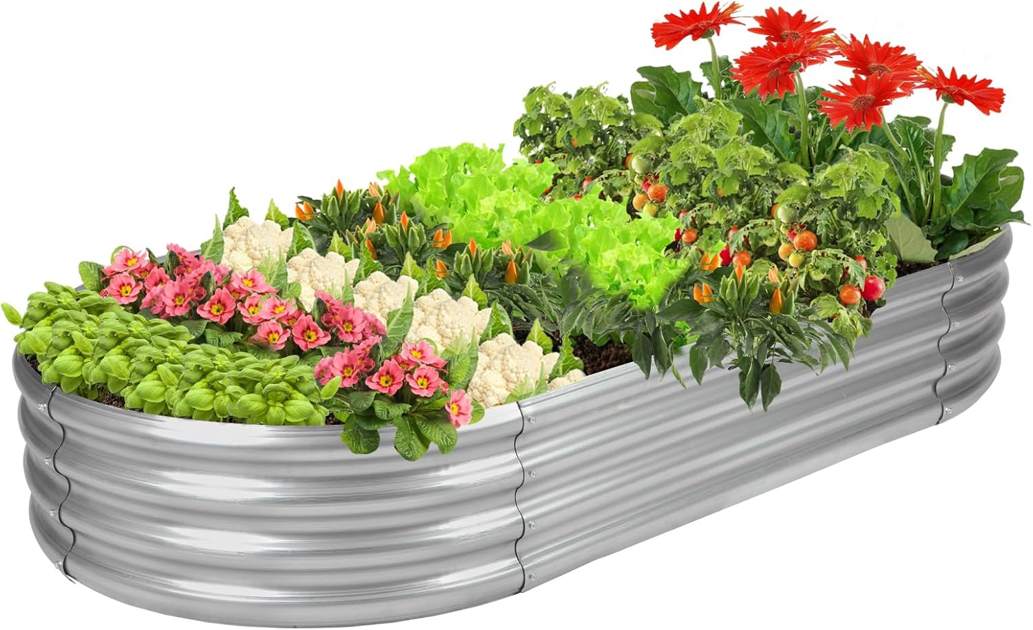 Raised Bed Planter Box - Kotak Tanam Galvanis Bersertifikat GRS, Tempat