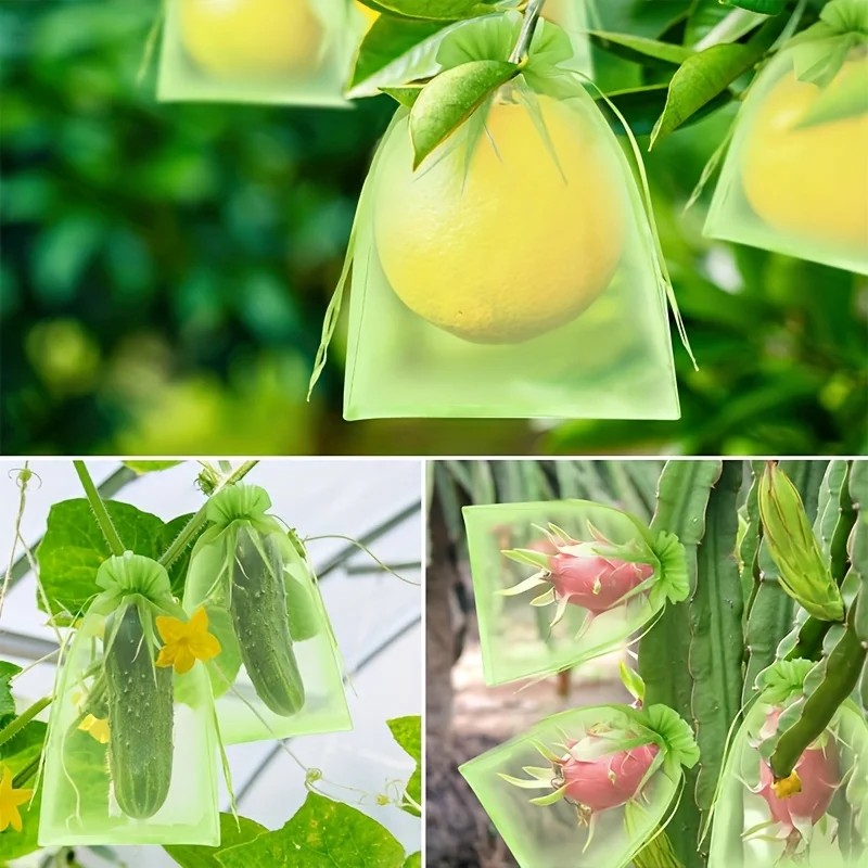 100 Buah Tas Pelindung Hijau d - Grow Bags ulasan dan harga