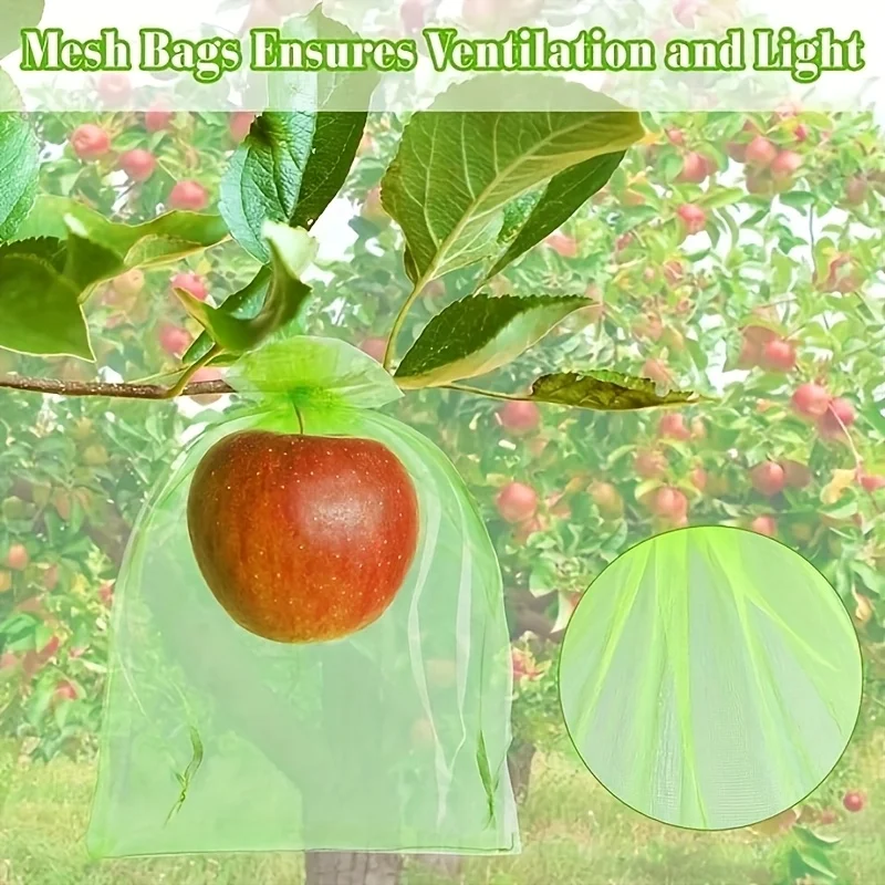 100 Buah Tas Pelindung Hijau d - Grow Bags ulasan dan harga