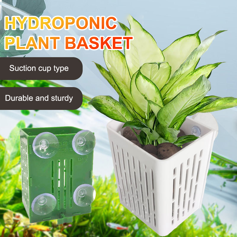 Kait cangkir hisap gantung pem - Hanging Planter Basket ulasan dan harga