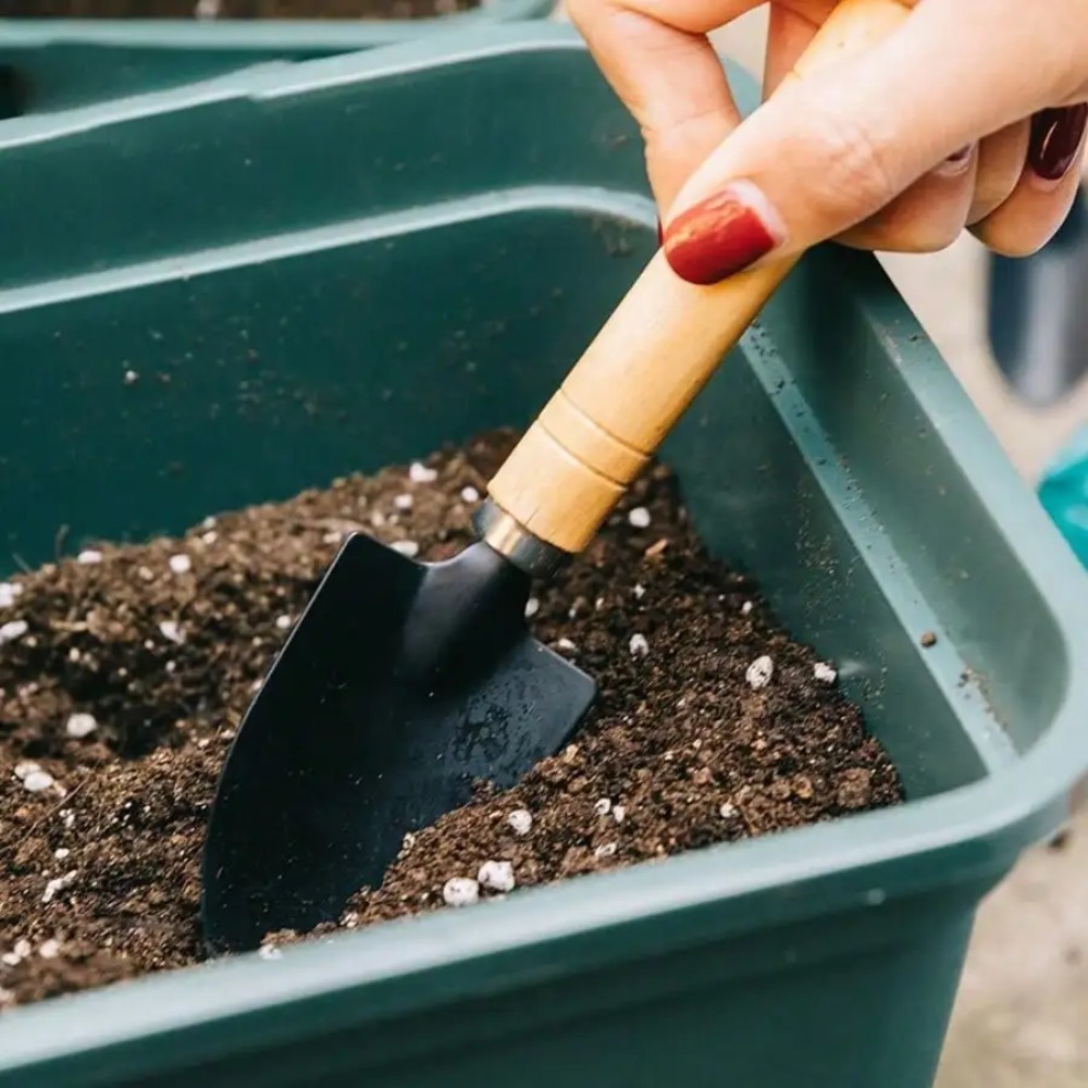 Set Alat Kebun Mini 3 Buah/Set - Gardening Tools On Sale ulasan dan harga