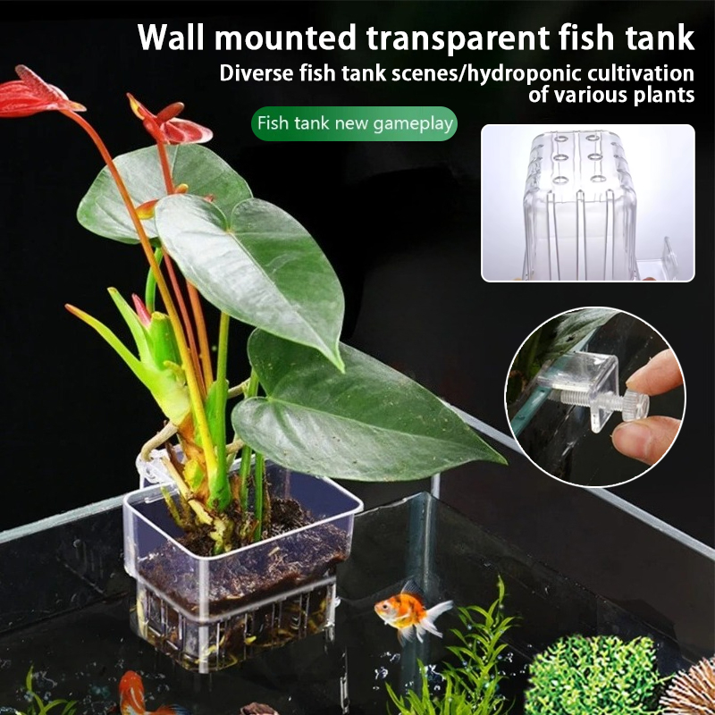 Pot Tanaman Gantung Akuarium,  - Hanging Planter Basket ulasan dan harga