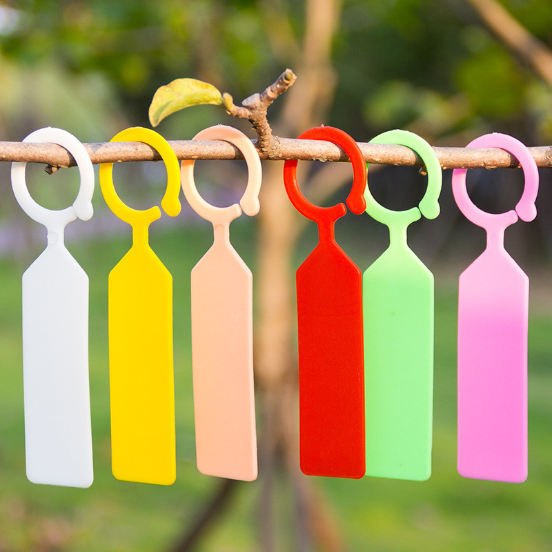 50Pcs Tahan Air Tanaman Label  - Garden Label Marker ulasan dan harga