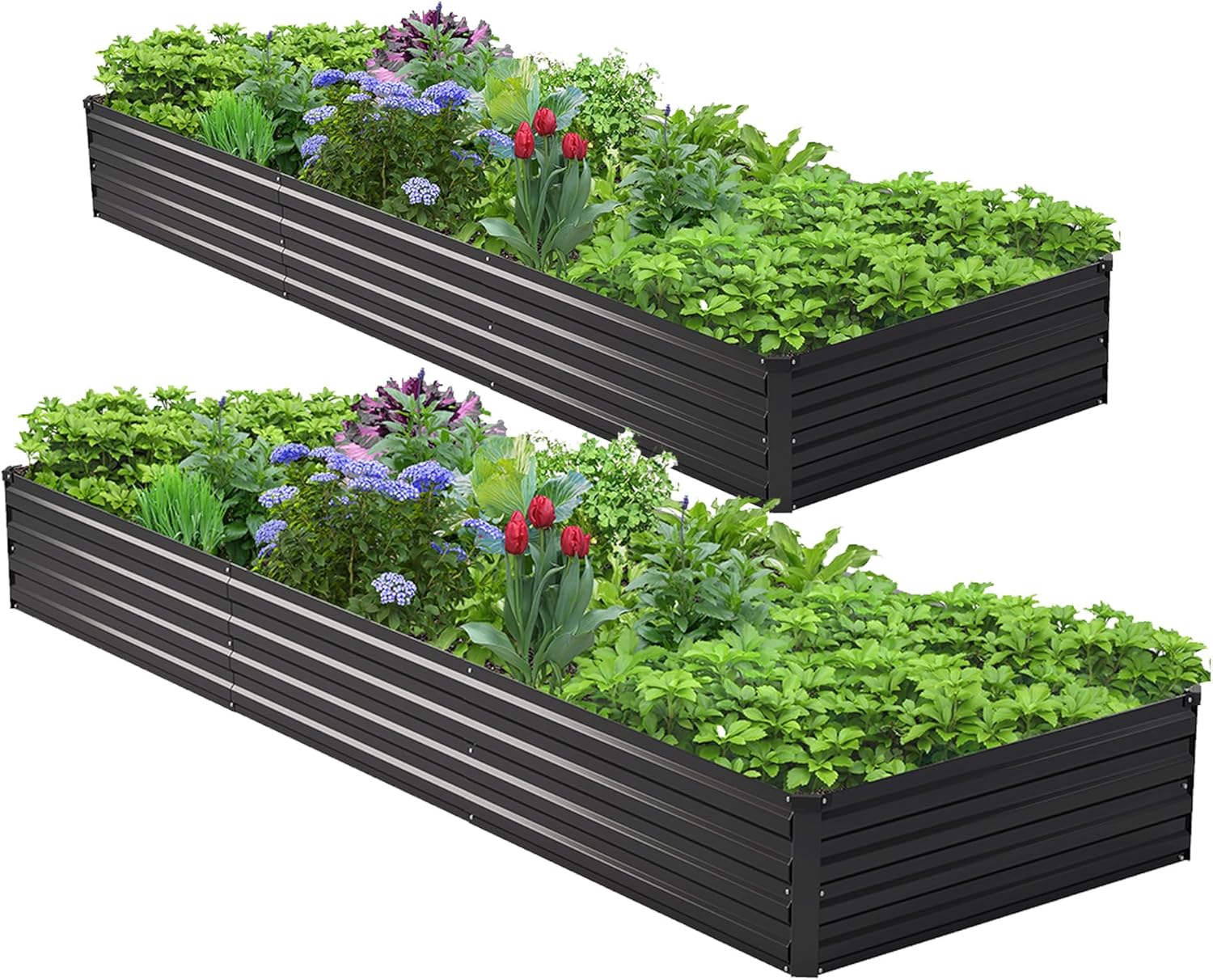 2PCS 10x3x1ft Kit Tempat Tanam - Raised Bed Planter Box ulasan dan harga