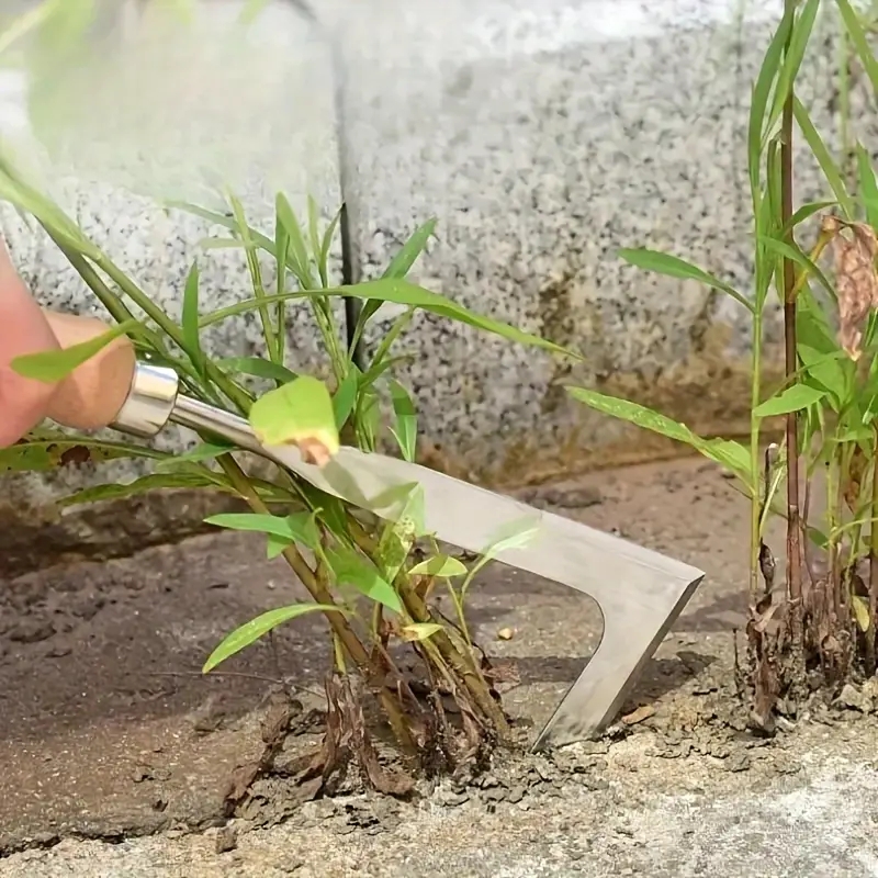 Sekop tangan baja karbon tugas - Gardening Tools On Sale ulasan dan harga