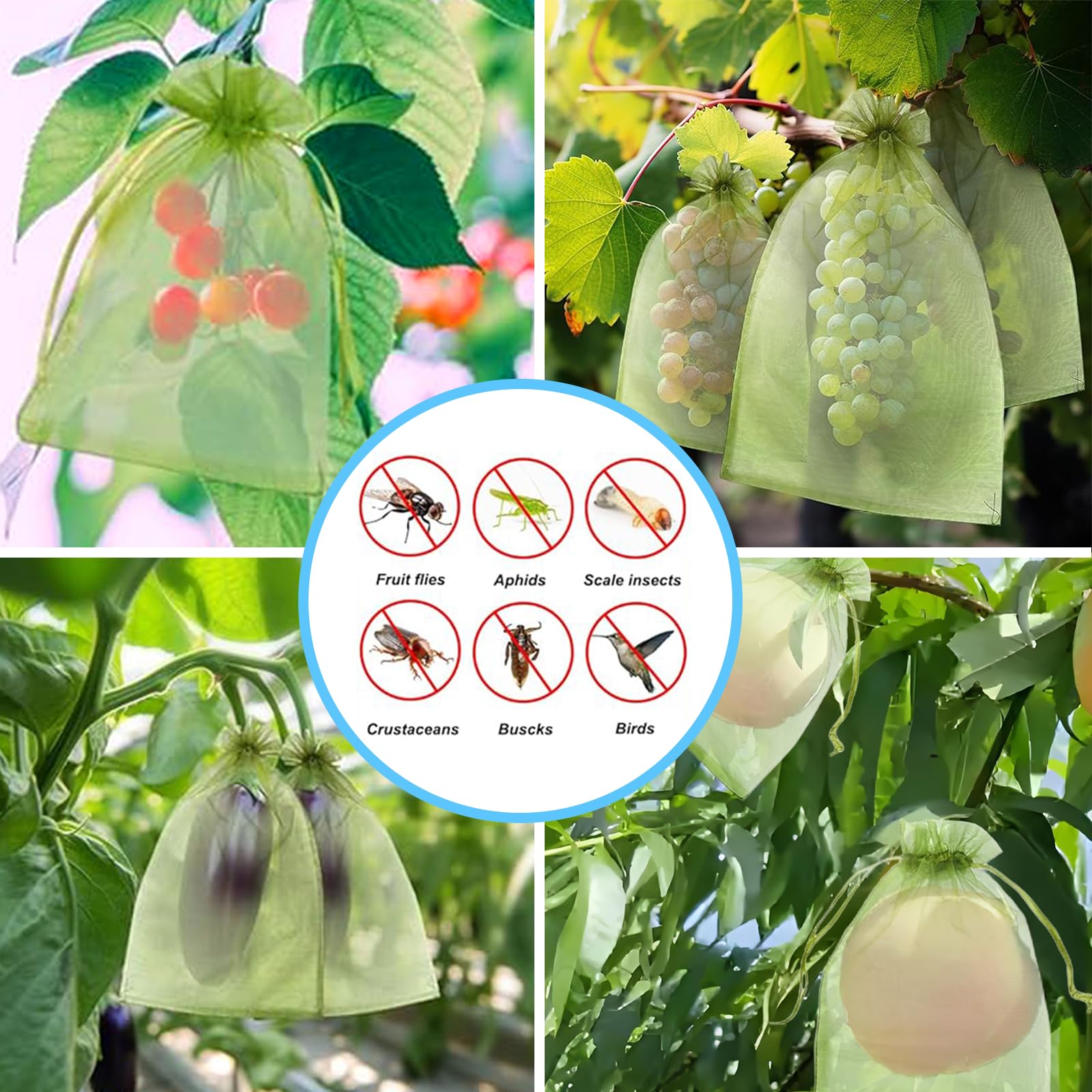 Jaring Anti Burung Efektif, Ka - Grow Bags ulasan dan harga