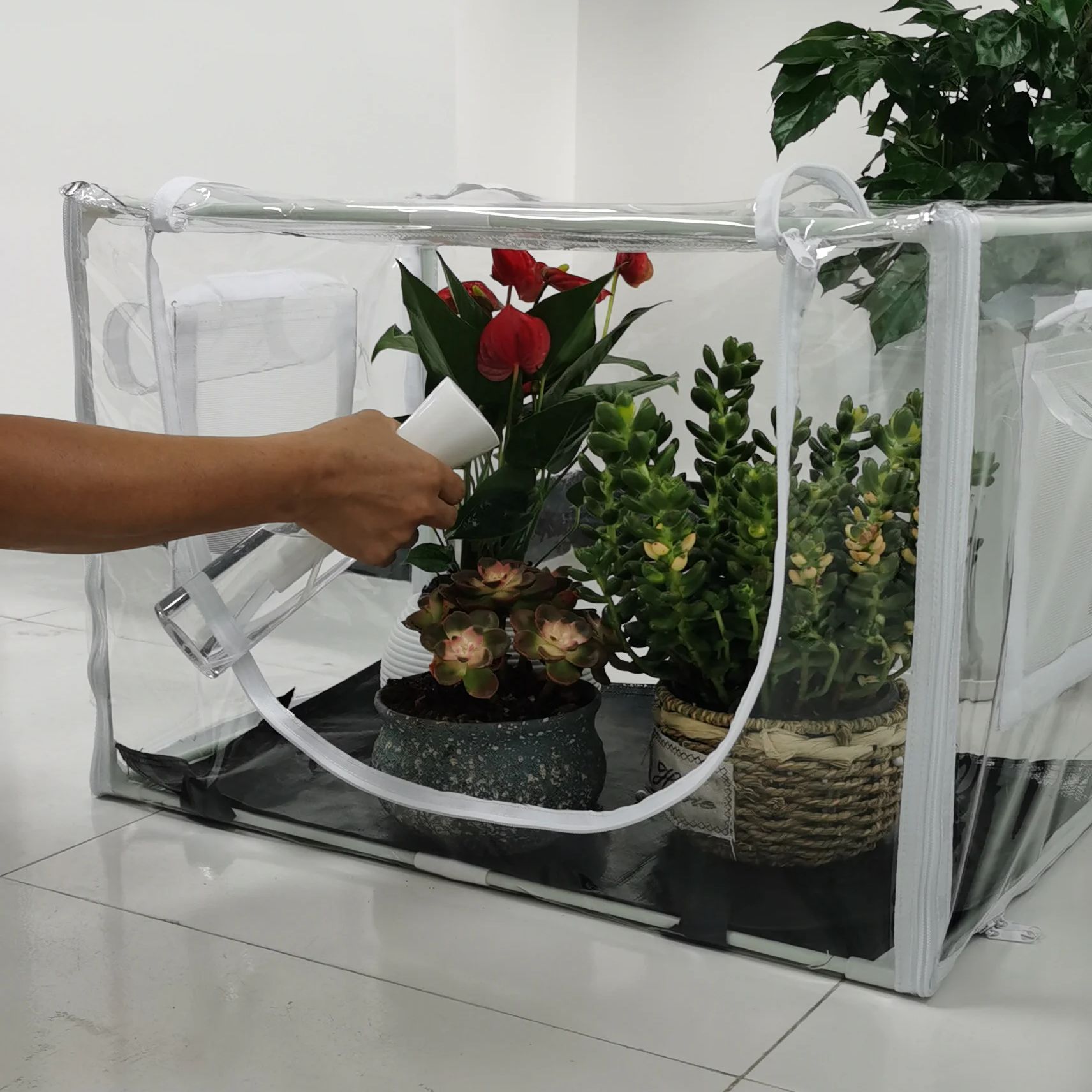 Rumah Kaca Kompak untuk Tanama - Grow Bags ulasan dan harga