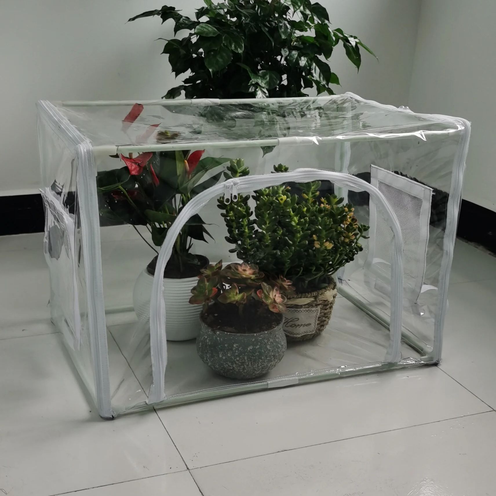 Rumah Kaca Kompak untuk Tanama - Grow Bags ulasan dan harga