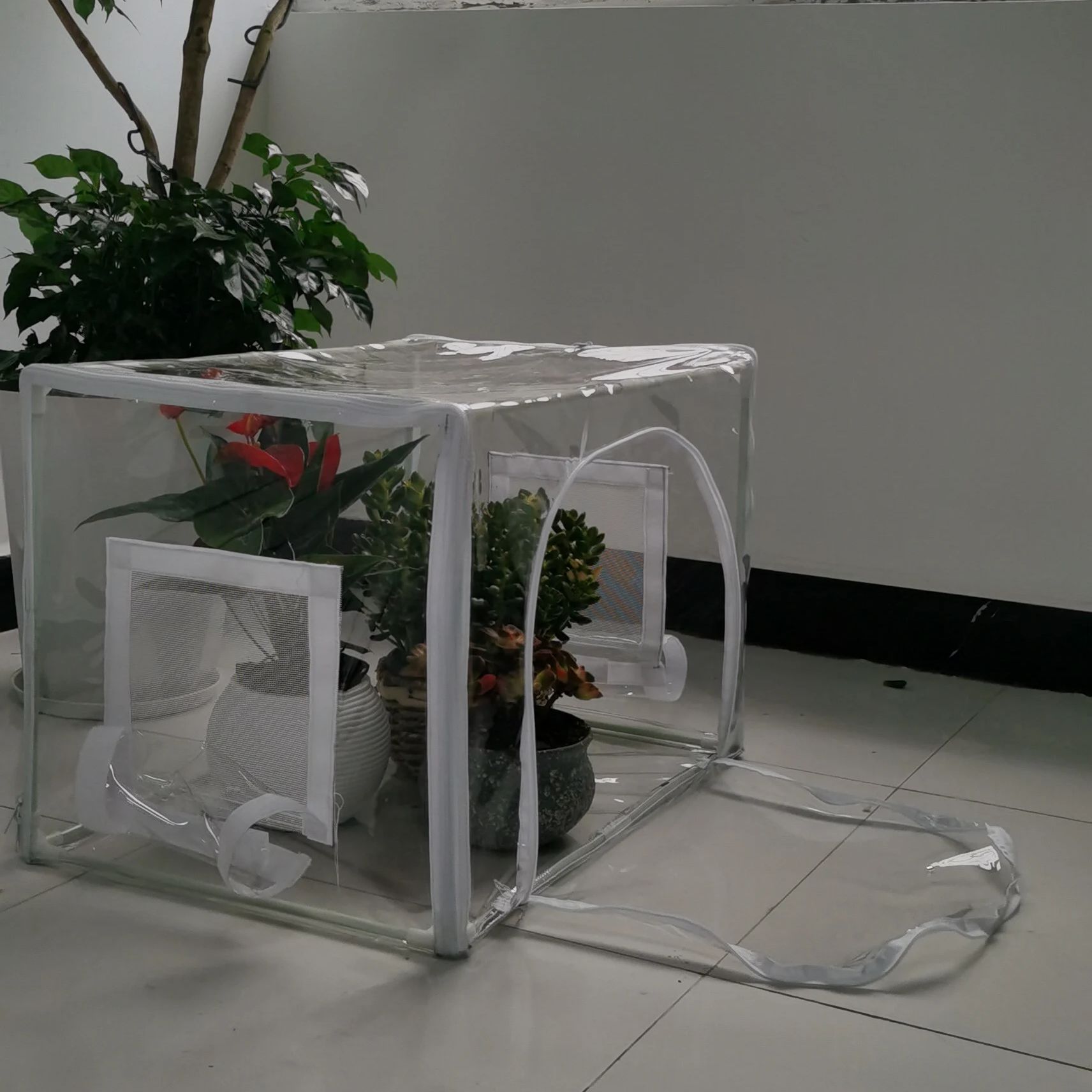 Rumah Kaca Kompak untuk Tanama - Grow Bags ulasan dan harga
