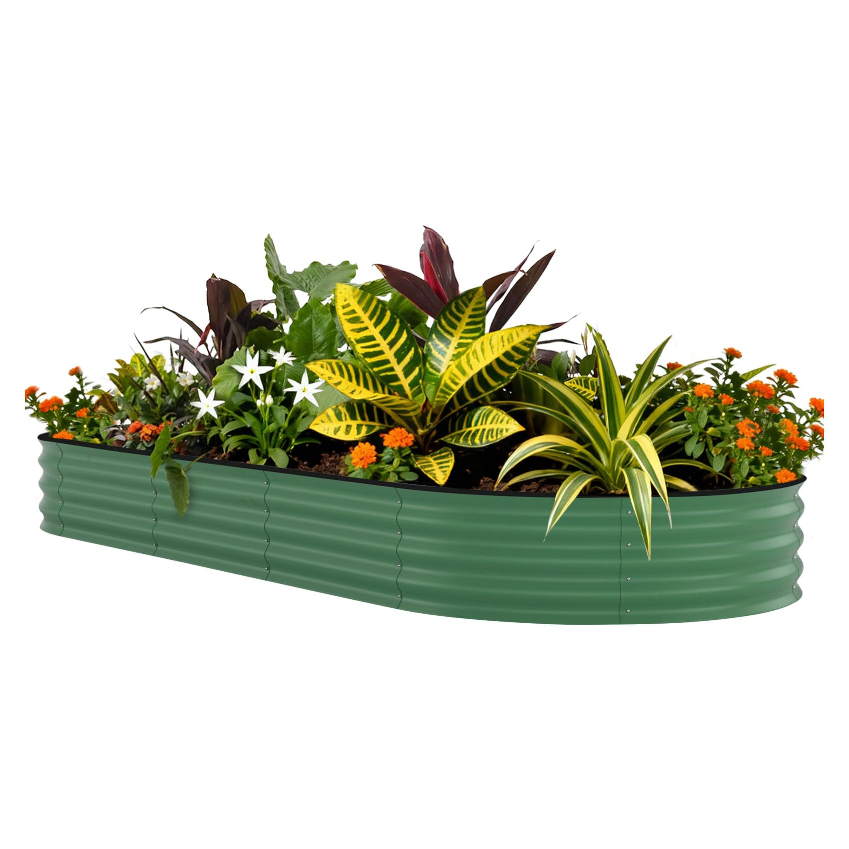 Kotak Tanam Terangkat Galvanis - Raised Bed Planter Box ulasan dan harga