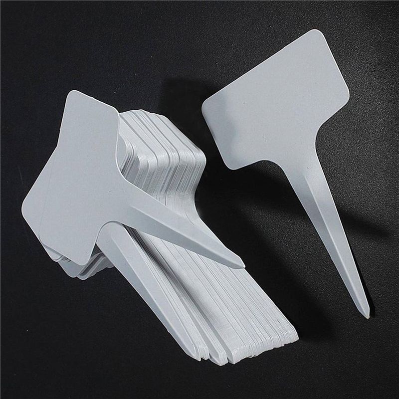 AT21-150 Buah Label Plastik Ti - Garden Label Marker ulasan dan harga