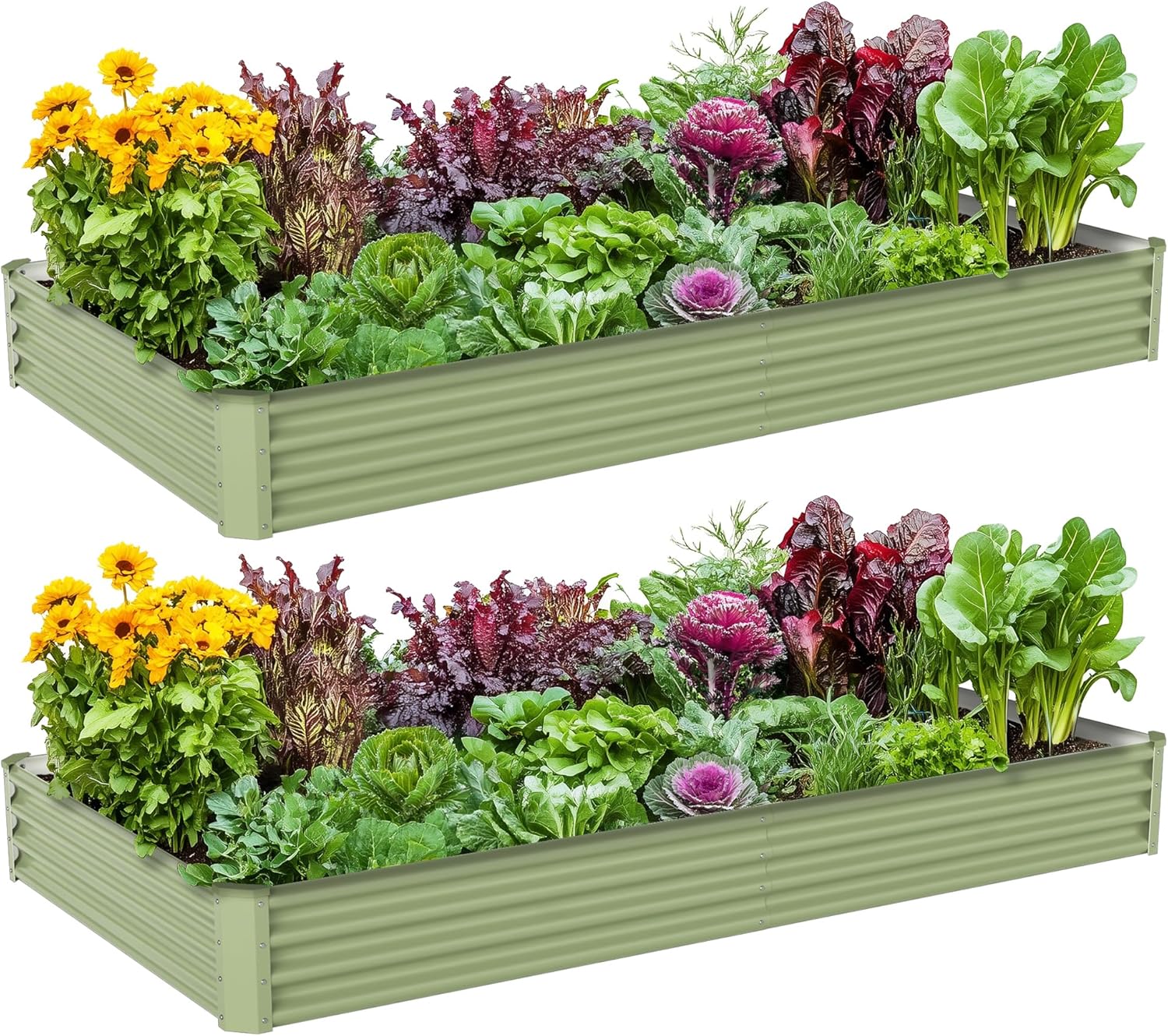 Kotak Tanam Sayuran Luar Ruang - Raised Bed Planter Box ulasan dan harga