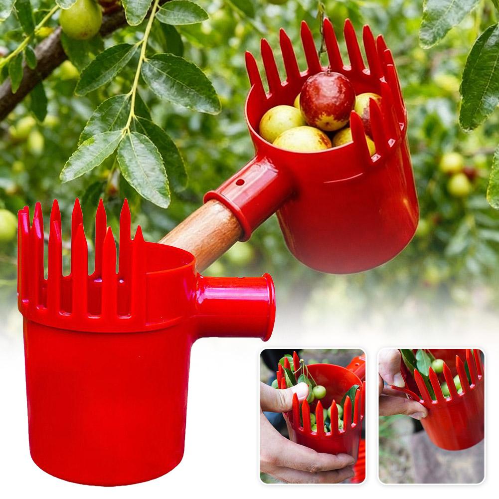 Alat Pemetik Buah Portabel den - Gardening Yard Tools ulasan dan harga
