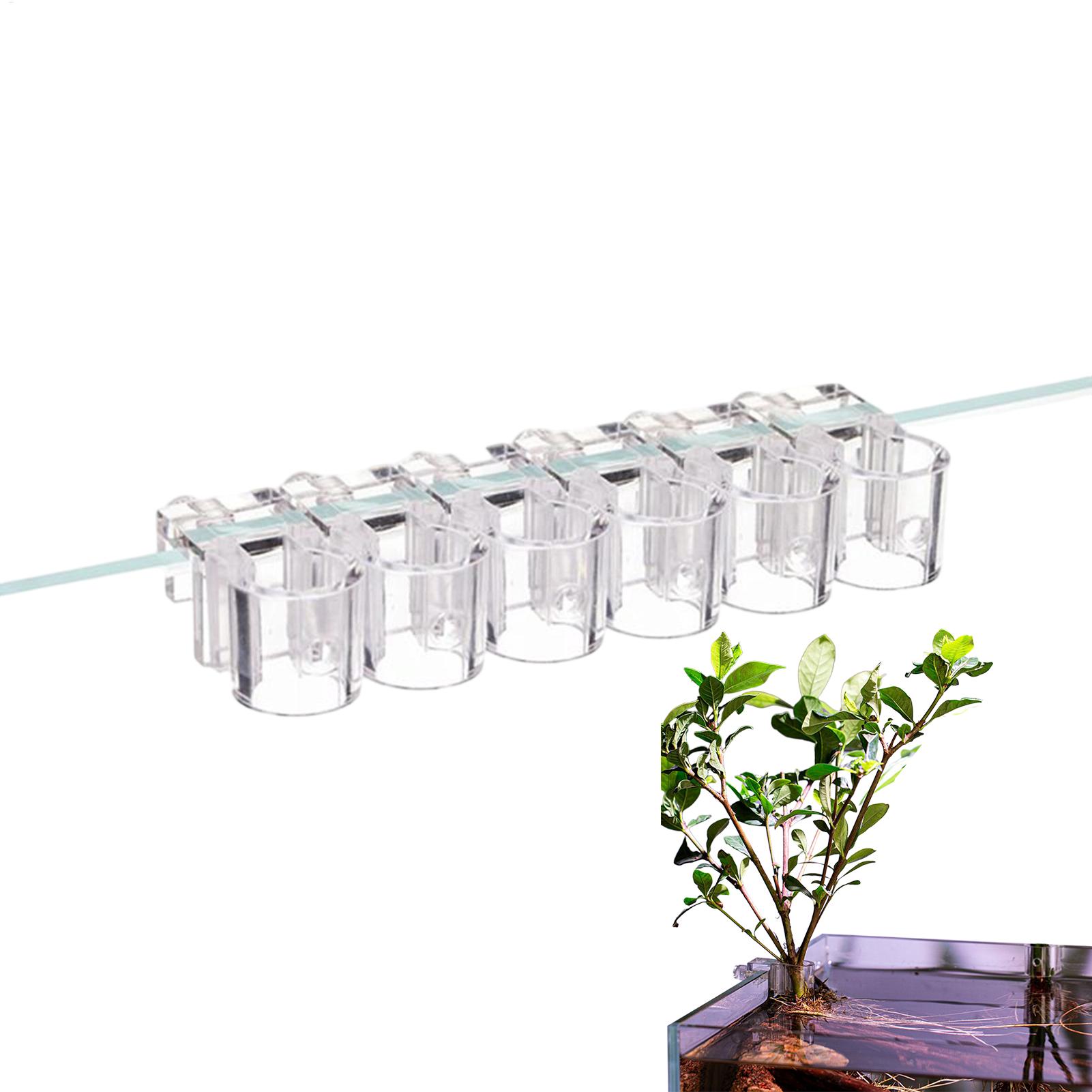 Keranjang Tanaman Akuarium Tra - Hanging Planter Basket ulasan dan harga