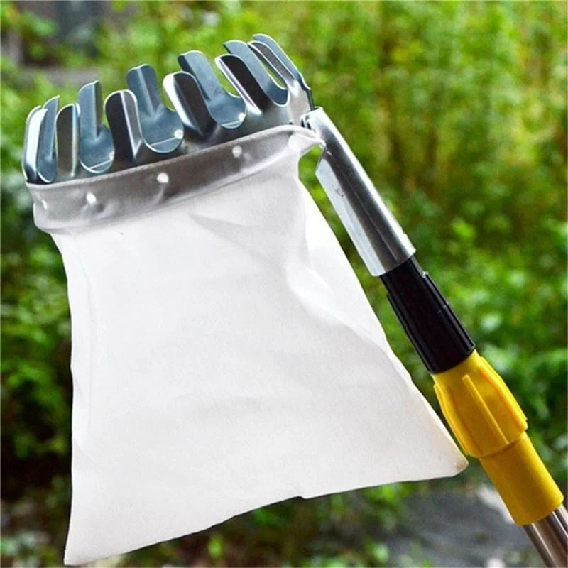 Alat Pemetik Buah Kebun, Kebun - Grow Bags ulasan dan harga