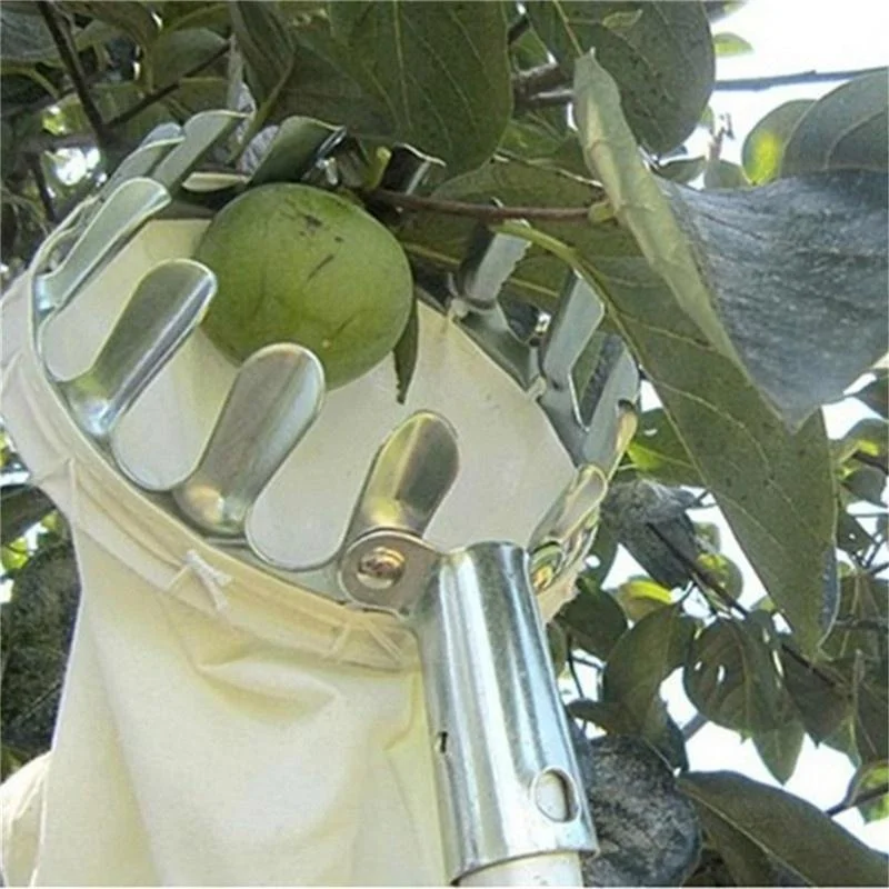 Alat Pemetik Buah Kebun, Kebun - Grow Bags ulasan dan harga