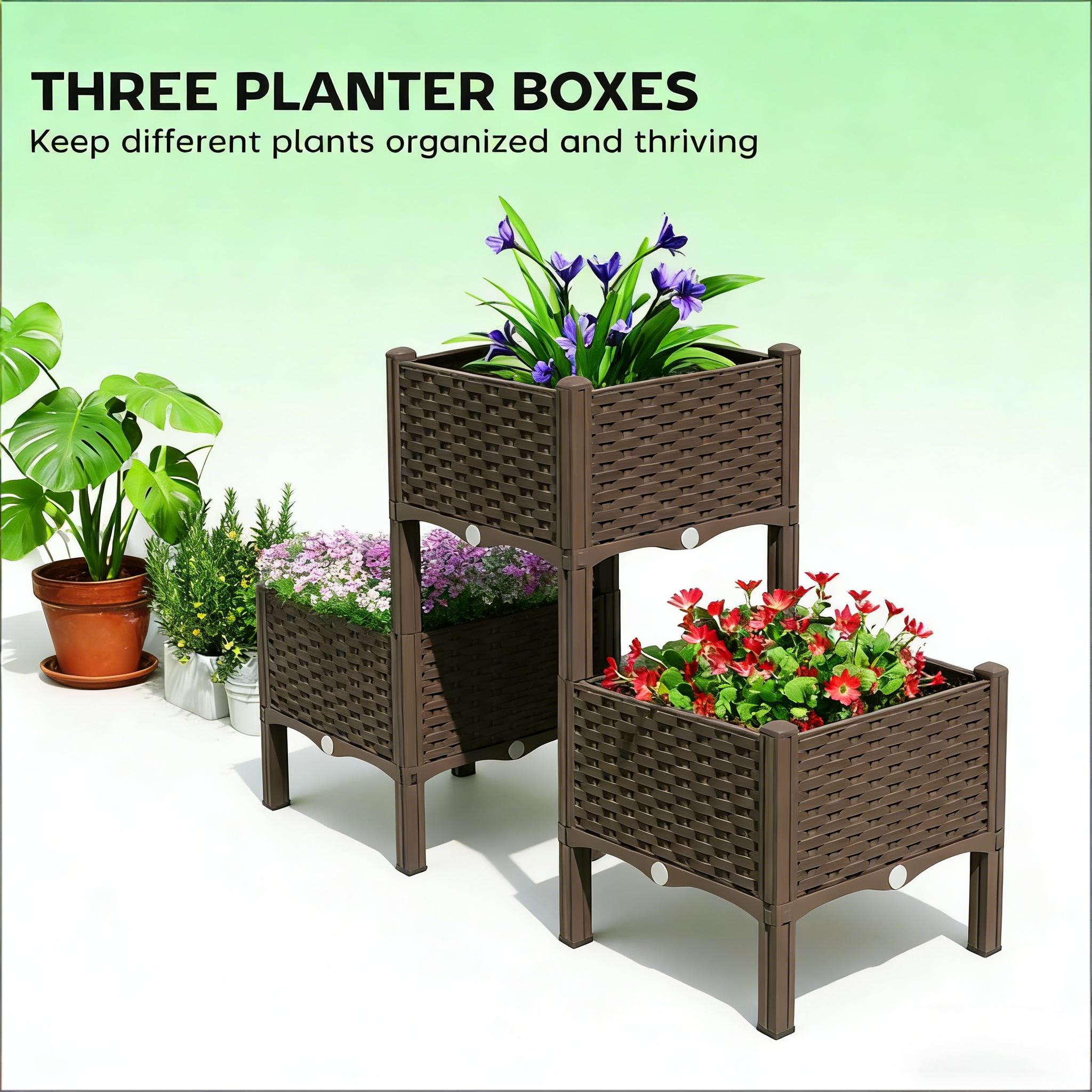Kotak Tanam Terangkat, Tempat  - Raised Bed Planter Box ulasan dan harga