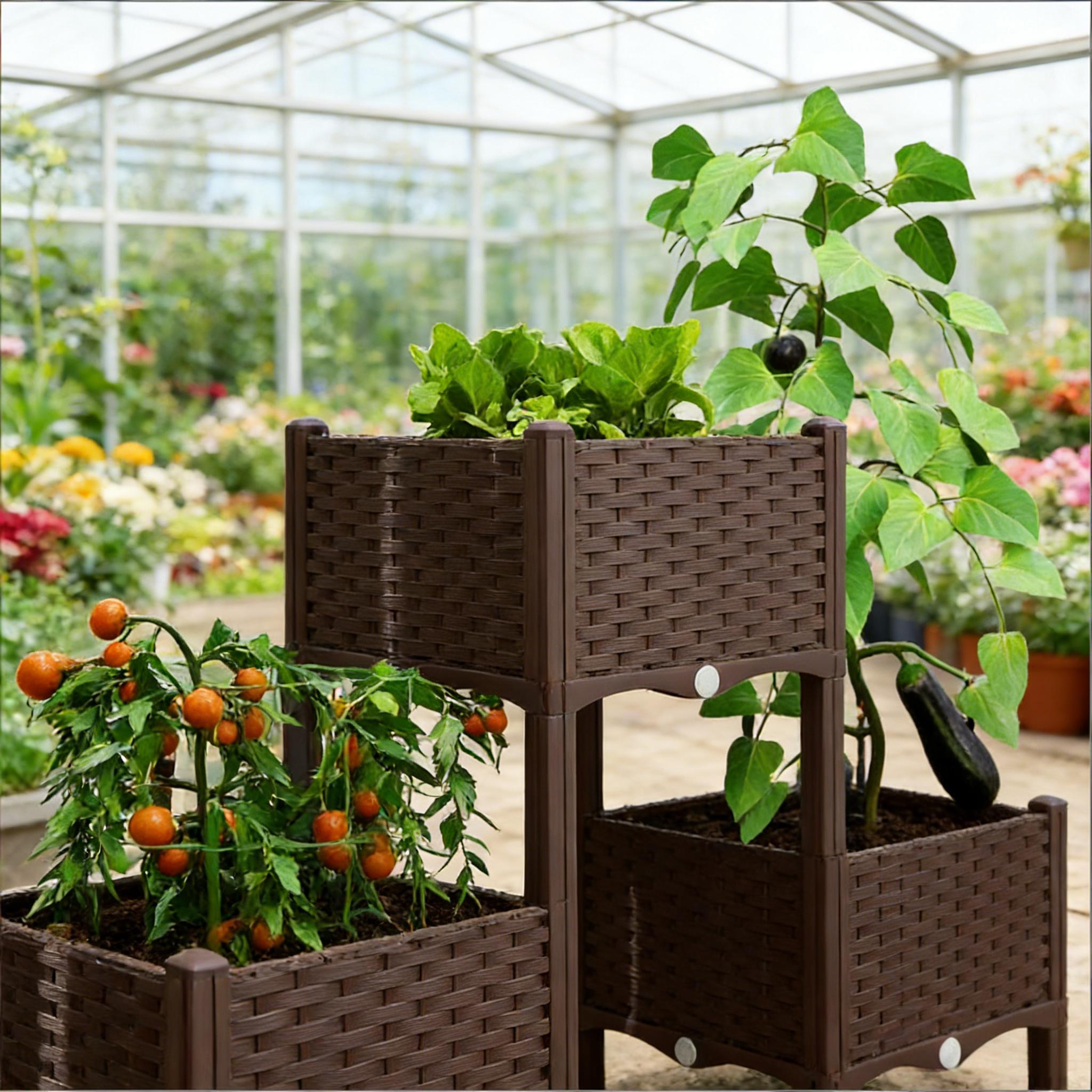 Kotak Tanam Terangkat, Tempat  - Raised Bed Planter Box ulasan dan harga