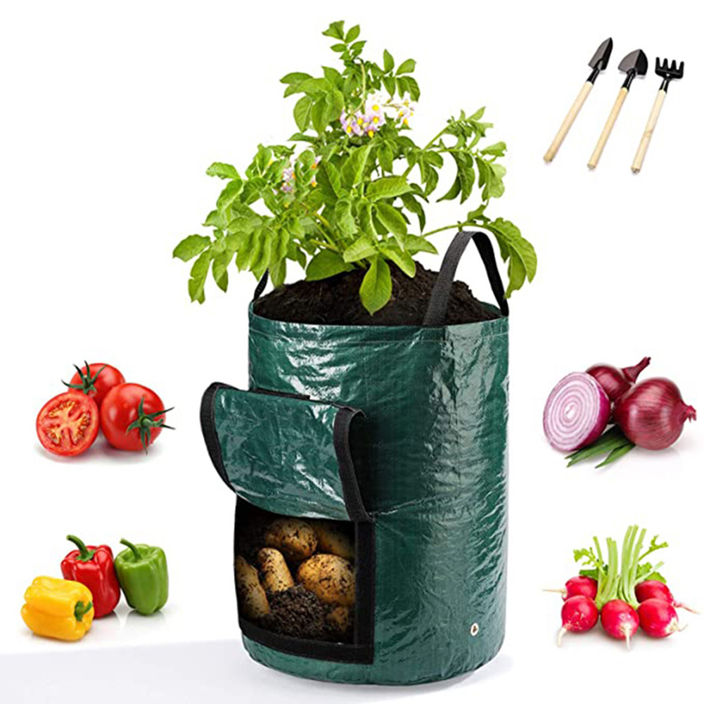 1 Buah Tas Tanam 10 Galon untu - Grow Bags ulasan dan harga
